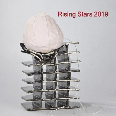 New Ashgate Gallery - Rising Stars 2019, Häftad