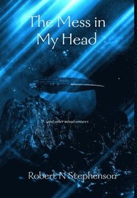 bokomslag Mess in My Head