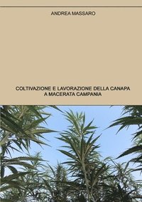 bokomslag Coltivazione e lavorazione della canapa a Macerata Campania