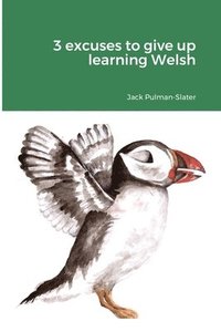 bokomslag 3 excuses to give up learning Welsh