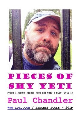 PAUL CHANDLER, Paul Chandler - PIECES OF SHY YETI, Inbunden