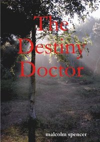 bokomslag The Destiny Doctor