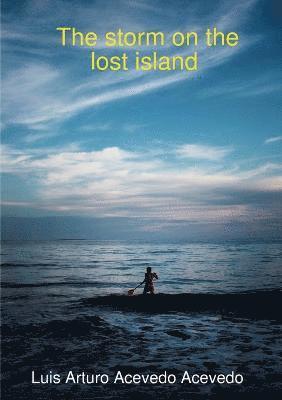 bokomslag storm on the lost island