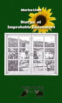 bokomslag Stories of Improbable Encounters