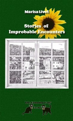 Stories of Improbable Encounters 1