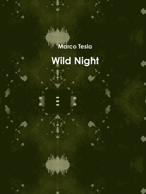 bokomslag Wild Night