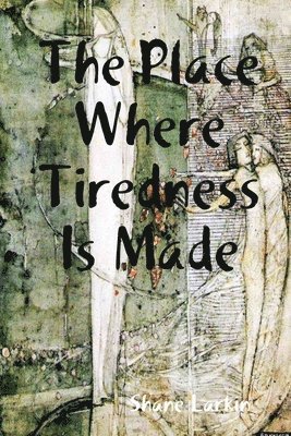 Shane Larkin - Place Where Tiredness Is Made, Häftad