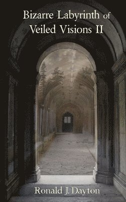 Bizarre Labyrinth of Veiled Visions II 1