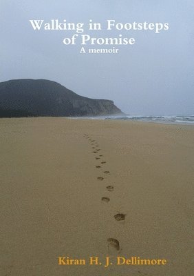 bokomslag Walking in Footsteps of Promise