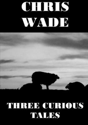 bokomslag Three Curious Tales