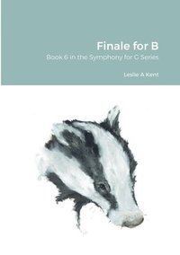 bokomslag Finale for B