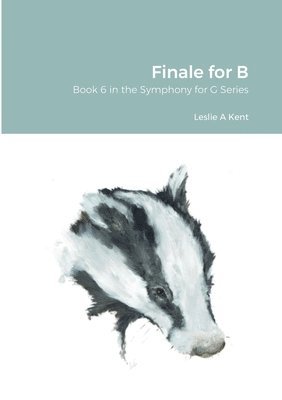 bokomslag Finale for B