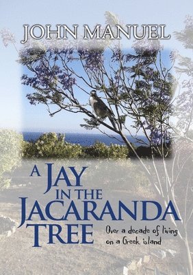 A Jay in the Jacaranda Tree 1