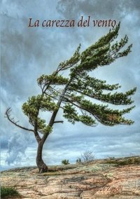 bokomslag La carezza del vento