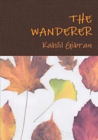 bokomslag Wanderer