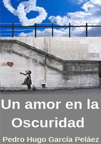 bokomslag Un Amor en la oscuridad