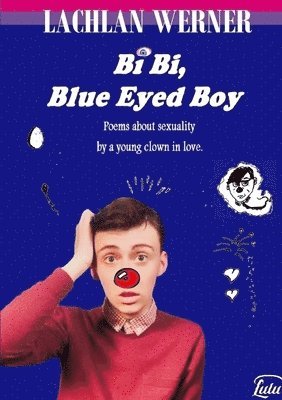 bokomslag Bi Bi, Blue Eyed Boy