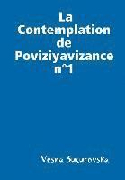 bokomslag La Contemplation de Poviziyavizance n1