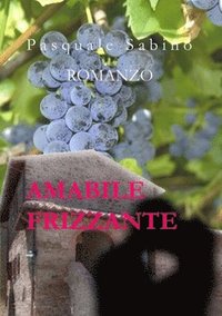 bokomslag Amabile Frizzante