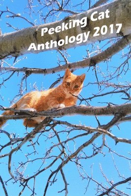 Peeking Cat Anthology 2017 1