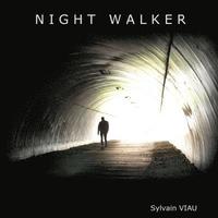 bokomslag Night Walker