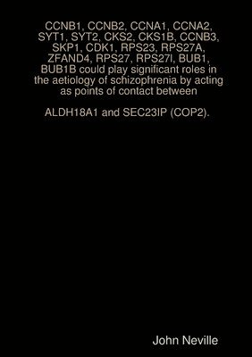 bokomslag CCNB1, CCNB2, CCNA1, CCNA2, SYT1, SYT2, CKS2, CKS1B, CCNB3, SKP1, CDK1, RPS23, RPS27A, ZFAND4, RPS27, RPS27l, BUB1, BUB1B could play significant roles in the aetiology of schizophrenia by acting as