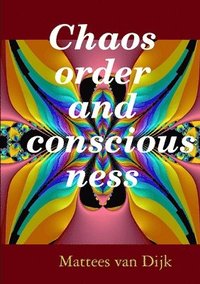 bokomslag Chaos, order and consciousness