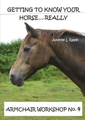 Getting To Know Your Horse....Really - Armchair Workshop No.4 1