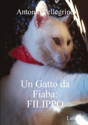 bokomslag Un Gatto da Fiaba