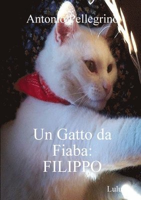 Antonio Pellegrino - Gatto da Fiaba, Häftad