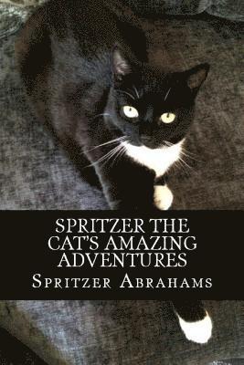 Spritzer Abrahams - Spritzer The Cat's Amazing Adventures, Häftad