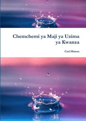 bokomslag Chemchemi ya Maji ya Uzima ya Kwanza