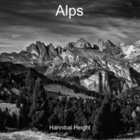 bokomslag Alps