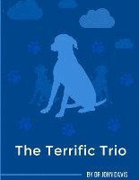 bokomslag The Terrific Trio