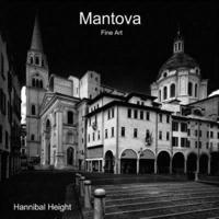 bokomslag Mantova - Fine Art