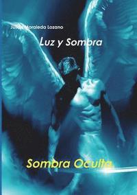 bokomslag Luz y Sombra 2. Sombra Oculta