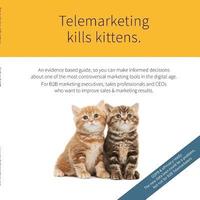 bokomslag Telemarketing Kills Kittens