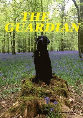 Guardian