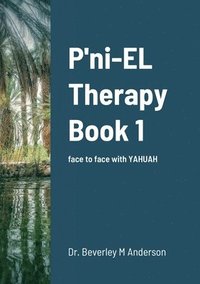 bokomslag The P'ni-EL Therapy