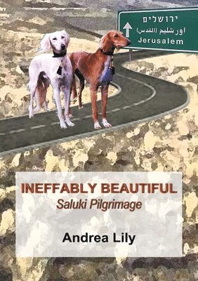 Ineffably Beautiful: Saluki Pilgrimage 1