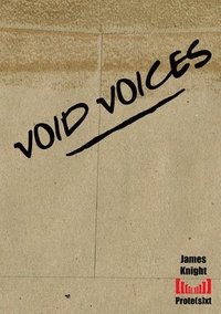 bokomslag Void Voices