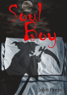 bokomslag Soul Boy