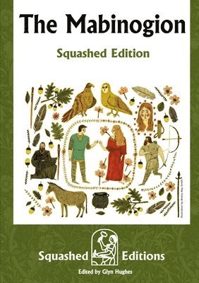 bokomslag Mabinogion (Squashed Edition)