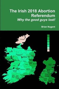 bokomslag The Irish 2018 Abortion Referendum: Why the good guys lost!