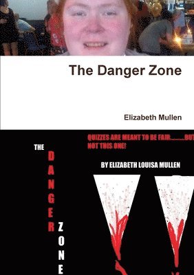 bokomslag Danger Zone