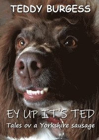 bokomslag Ey Up It's Ted: Tales ov a Yorkshire Sausage