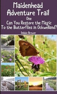 bokomslag Maidenhead Adventure Trail One, Can You Restore the Magic to the Butterflies in Ockwelland?