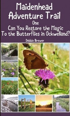 Debbie Brewer - Maidenhead Adventure Trail One, Can You Restore the Magic to the Butterflies in Ockwelland?, Häftad