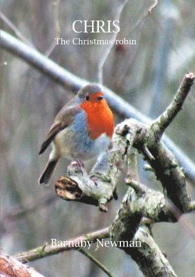 CHRIS: The Christmas Robin 1