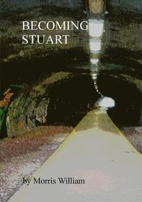 bokomslag Becoming Stuart